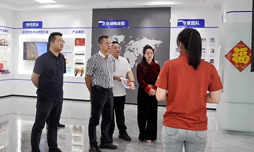 咸渭南东新区调查团到访K8凯发集团，共探大健康产业合作